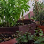 Backyard Composting Heap Homehyme