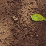 Soil Quality Homehyme