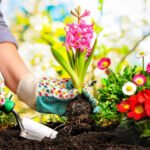 Balcony Container Gardens Tools Homehyme