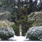Garden Winter Homehyme