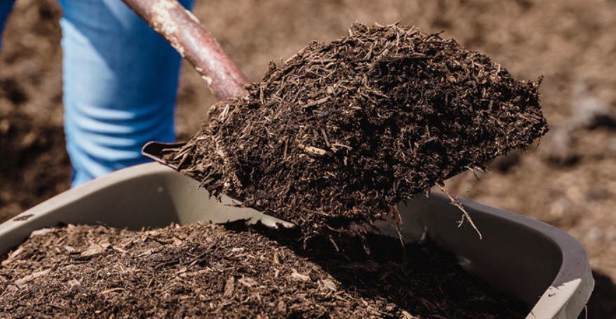 Mulch for Soil Health Homehyme