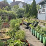 Sustainable Garden Homehyme
