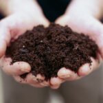 Acid Soils Homehyme