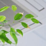 Indoor Air Quality Homehyme
