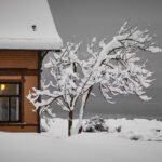 Fall Home Maintenance Homehyme