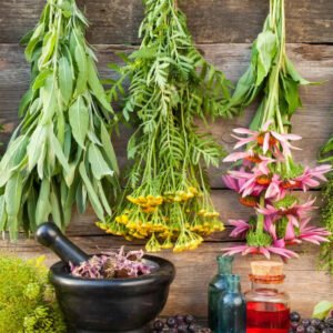 Medicinal Plants Homehyme