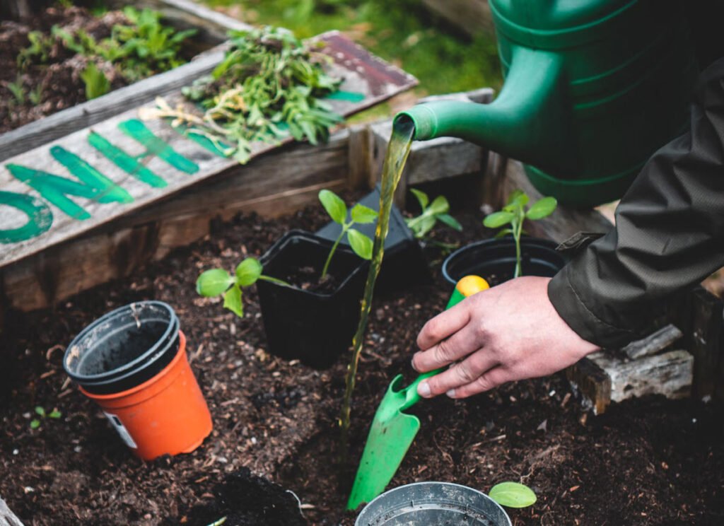 Gardening