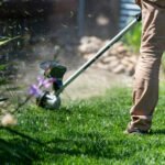 Cleaning Your Garden