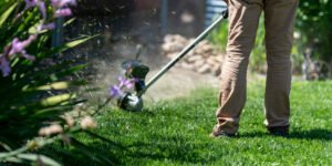 Cleaning Your Garden