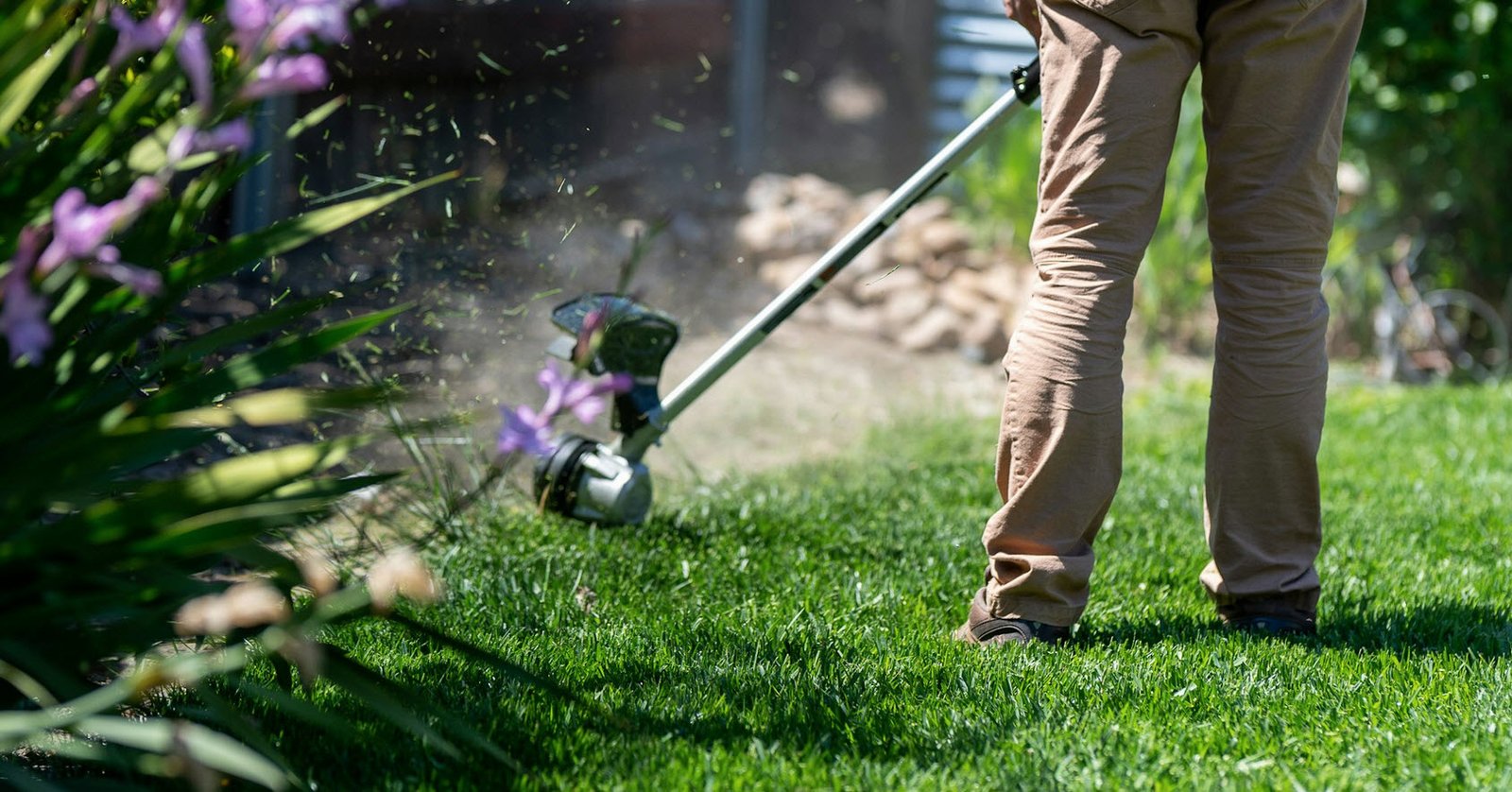 Cleaning Your Garden